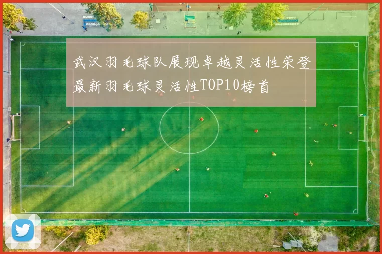 武汉羽毛球队展现卓越灵活性荣登最新羽毛球灵活性TOP10榜首