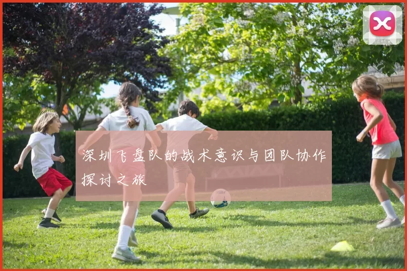 深圳飞盘队的战术意识与团队协作探讨之旅