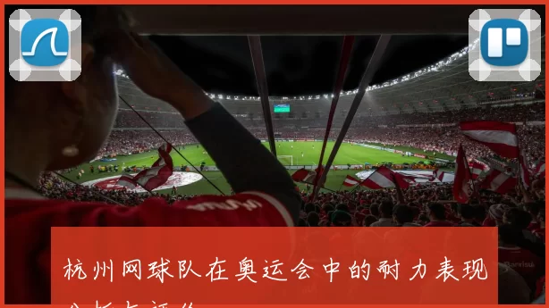 杭州网球队在奥运会中的耐力表现分析与评价
