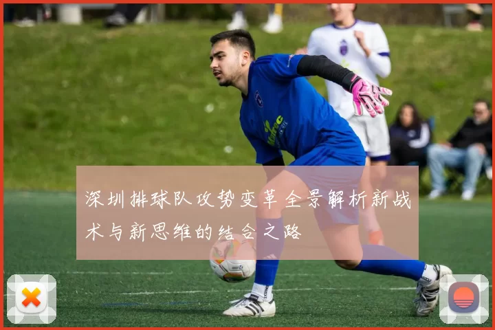 深圳排球队攻势变革全景解析新战术与新思维的结合之路