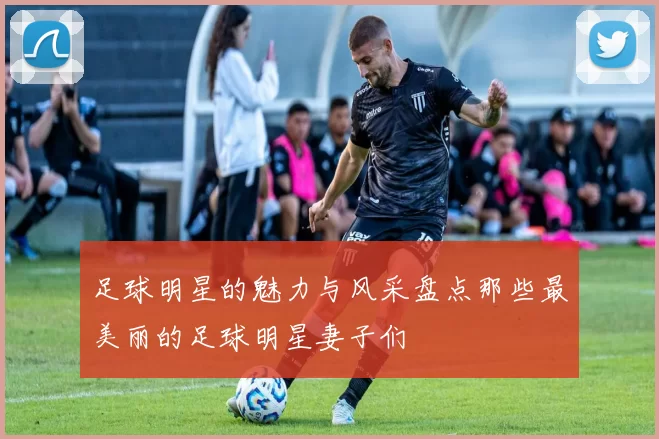 足球明星的魅力与风采盘点那些最美丽的足球明星妻子们
