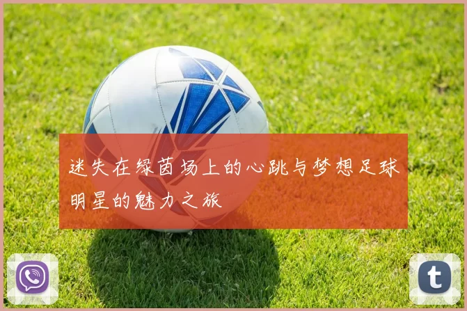 迷失在绿茵场上的心跳与梦想足球明星的魅力之旅