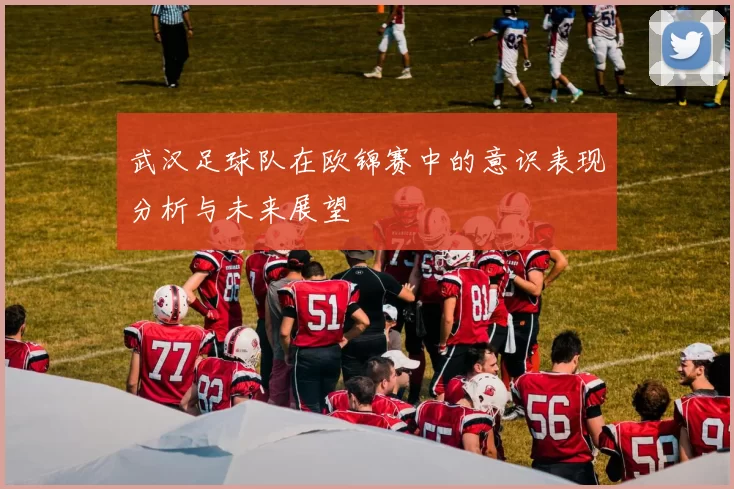 武汉足球队在欧锦赛中的意识表现分析与未来展望