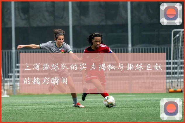 上海排球队的实力揭秘与排球巨献的精彩瞬间