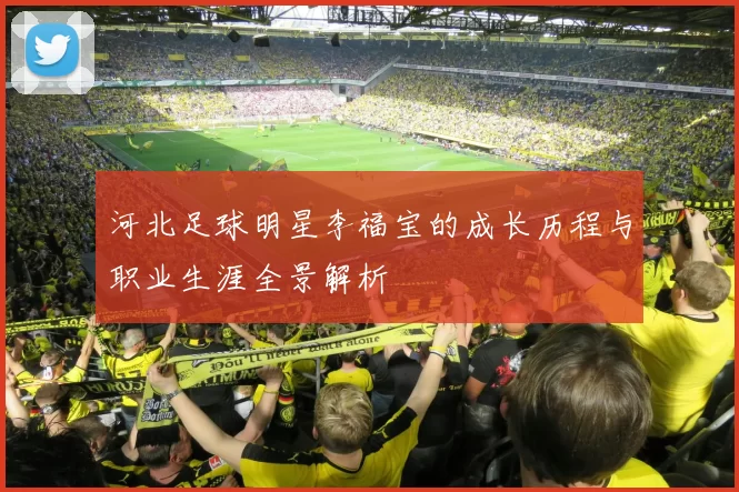 河北足球明星李福宝的成长历程与职业生涯全景解析
