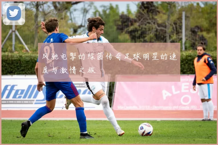 风驰电掣的绿茵传奇足球明星的速度与激情之旅