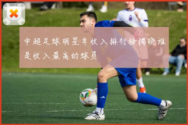 中超足球明星年收入排行榜揭晓谁是收入最高的球员