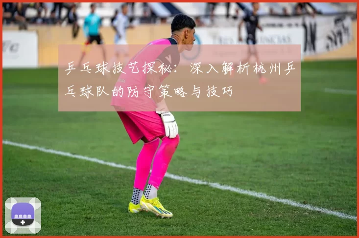 乒乓球技艺探秘：深入解析杭州乒乓球队的防守策略与技巧