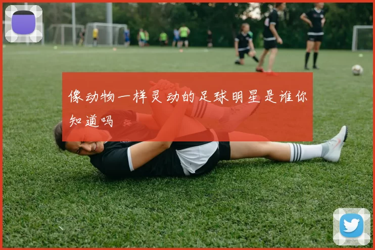 像动物一样灵动的足球明星是谁你知道吗