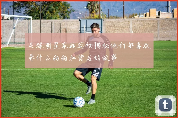 足球明星家庭宠物揭秘他们都喜欢养什么狗狗和背后的故事